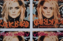 Tip: Andy Warhol na Hluboké